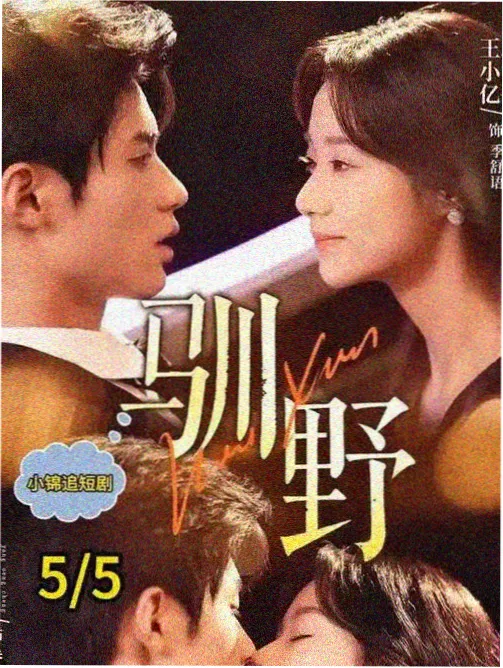 熊猫视频资讯-国剧出海